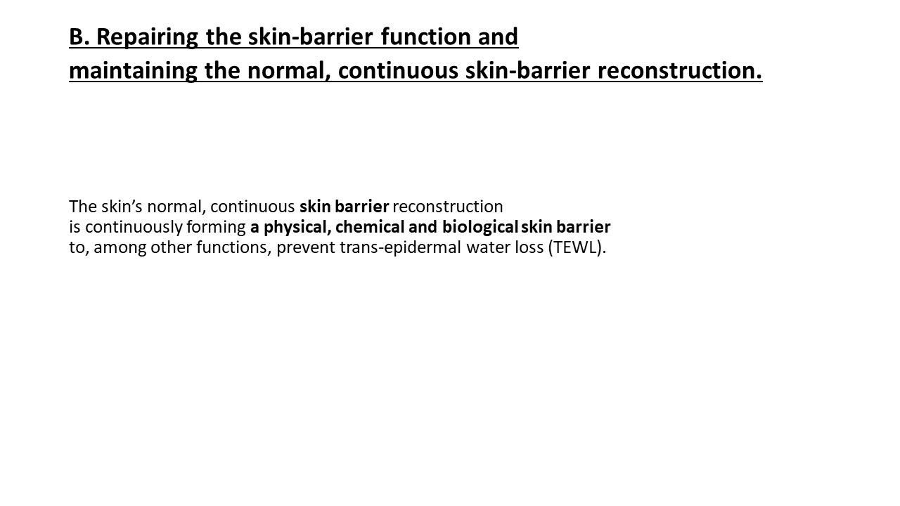 Pruritic_Dog_Webinar_Slide_49.jpg
